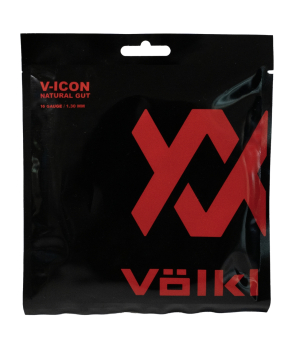 Preview: V-ICON